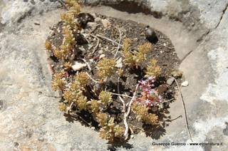 ntana Paradiso-15-05-2014 17-39-47